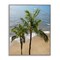 Stupell Industries Maui Palm Beach Coast Framed Giclee, design by Natalie Carpentieri